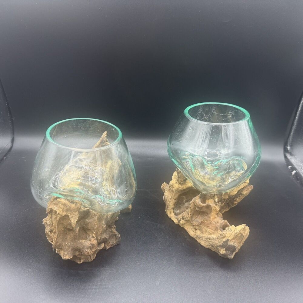 2-Molten Glass Bowls w/Wood Root Base - Blown Glass Wood Terrarium see pics,
